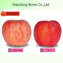 2015 Fruta china fresca FUJI Apple
